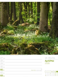 Ackermann Kunstverlag Wochenkalender-Unser Wald Wochenplaner Kalender 2026