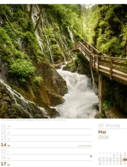 Ackermann Kunstverlag Wochenkalender-Unser Wald Wochenplaner Kalender 2026