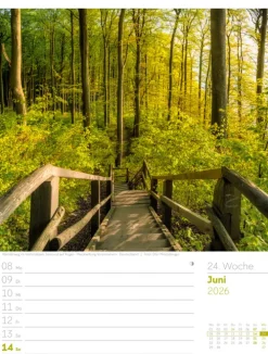 Ackermann Kunstverlag Wochenkalender-Unser Wald Wochenplaner Kalender 2026