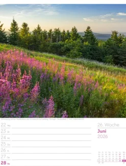 Ackermann Kunstverlag Wochenkalender-Unser Wald Wochenplaner Kalender 2026