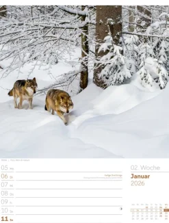 Ackermann Kunstverlag Wochenkalender-Unser Wald Wochenplaner Kalender 2026