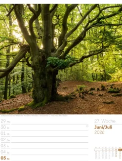 Ackermann Kunstverlag Wochenkalender-Unser Wald Wochenplaner Kalender 2026