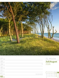 Ackermann Kunstverlag Wochenkalender-Unser Wald Wochenplaner Kalender 2026