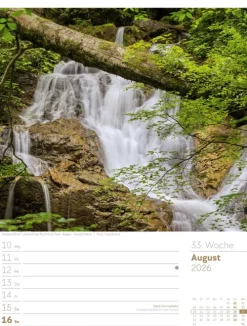Ackermann Kunstverlag Wochenkalender-Unser Wald Wochenplaner Kalender 2026