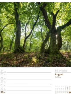 Ackermann Kunstverlag Wochenkalender-Unser Wald Wochenplaner Kalender 2026