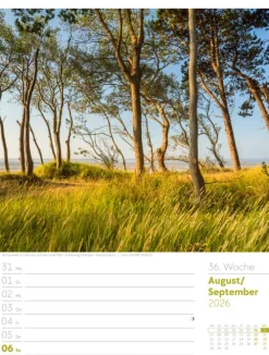 Ackermann Kunstverlag Wochenkalender-Unser Wald Wochenplaner Kalender 2026