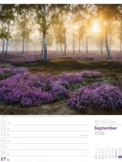 Ackermann Kunstverlag Wochenkalender-Unser Wald Wochenplaner Kalender 2026