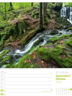 Ackermann Kunstverlag Wochenkalender-Unser Wald Wochenplaner Kalender 2026