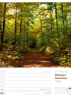 Ackermann Kunstverlag Wochenkalender-Unser Wald Wochenplaner Kalender 2026