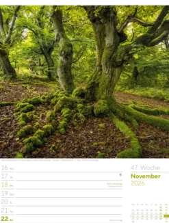 Ackermann Kunstverlag Wochenkalender-Unser Wald Wochenplaner Kalender 2026