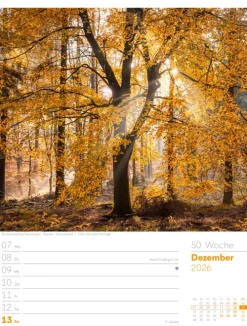 Ackermann Kunstverlag Wochenkalender-Unser Wald Wochenplaner Kalender 2026