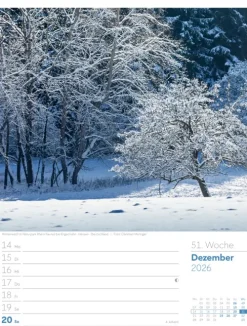 Ackermann Kunstverlag Wochenkalender-Unser Wald Wochenplaner Kalender 2026