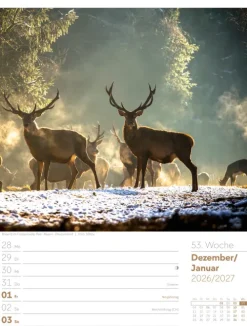 Ackermann Kunstverlag Wochenkalender-Unser Wald Wochenplaner Kalender 2026