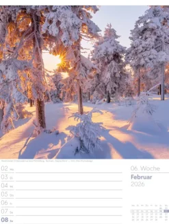 Ackermann Kunstverlag Wochenkalender-Unser Wald Wochenplaner Kalender 2026