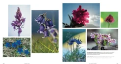 Unsere Alpen*NG Buchverlag GmbH Clearance