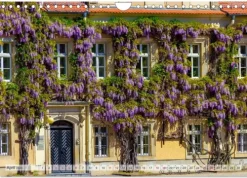 Calvendo Wandkalender*Unterwegs in Riesa (Wandkalender 2026 DIN A4 quer), Monatskalender