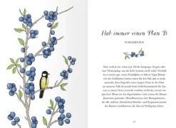 Ars Edition GmbH Weisheiten*Uralte Weisheiten der Bäume