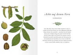 Ars Edition GmbH Weisheiten*Uralte Weisheiten der Bäume