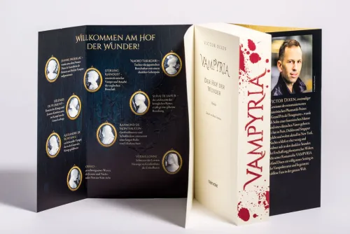 Blanvalet Taschenbuchverl Klassische Horrorgeschichten*Vampyria - Der Hof der Wunder