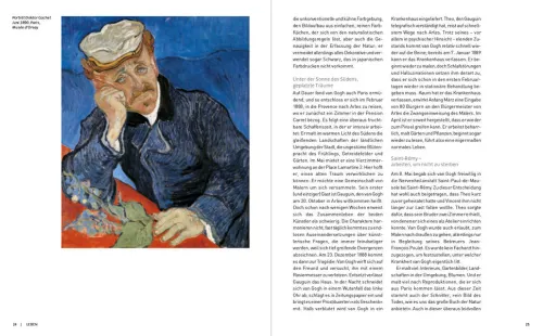 Van Gogh*Prestel Verlag Best