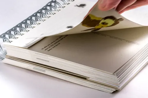 Verbunden mit dir*ARKANA Verlag Outlet