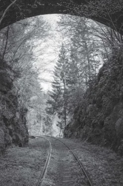Südost-Verlag Klassische Horrorgeschichten-Verlassenes Ostbayern