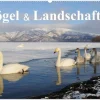 Vögel & Landschaften (Wandkalender 2026 DIN A2 quer), Monatskalender*Calvendo Discount