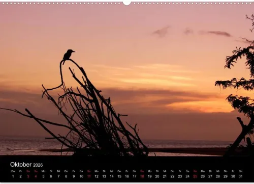 Vögel & Landschaften (Wandkalender 2026 DIN A2 quer), Monatskalender*Calvendo Discount