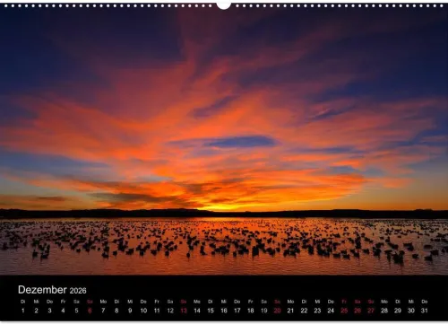Vögel & Landschaften (Wandkalender 2026 DIN A2 quer), Monatskalender*Calvendo Discount
