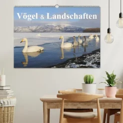 Vögel & Landschaften (Wandkalender 2026 DIN A2 quer), Monatskalender*Calvendo Discount