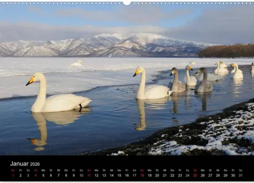 Vögel & Landschaften (Wandkalender 2026 DIN A2 quer), Monatskalender*Calvendo Discount