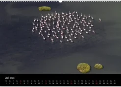 Vögel & Landschaften (Wandkalender 2026 DIN A2 quer), Monatskalender*Calvendo Discount