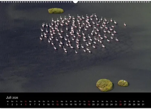 Vögel & Landschaften (Wandkalender 2026 DIN A2 quer), Monatskalender*Calvendo Discount