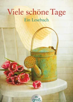 dtv Verlagsgesellschaft Großdruck*Viele schöne Tage. Großdruck