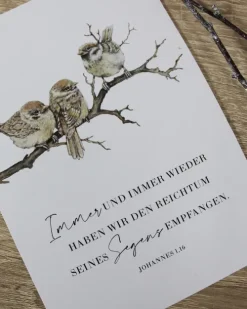 SCM Brockhaus, R. Postkartenkalender*VorFreude - Adventskalender