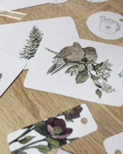 SCM Brockhaus, R. Postkartenkalender*VorFreude - Adventskalender