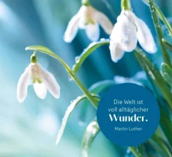 Groh Verlag Mut & Motivation*Wahre Stärke kommt von innen