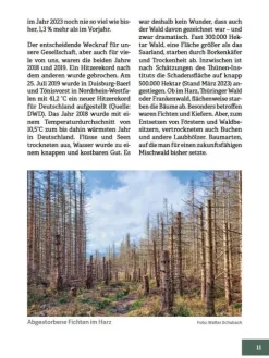 Stocker Leopold Verlag Umweltwissenschaft*Wald im Wandel