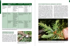 Stocker Leopold Verlag Biologie-Waldtracht von Fichte und Tanne