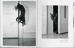 Taschen GmbH Künstler:Innen Im Fokus-Walter Chandoha. Cats. Photographs 1942-2018