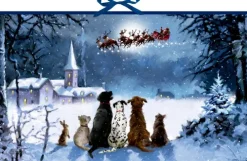 Coppenrath Wandkalender-Wandkalender - Wunderbare Hunde-Weihnacht