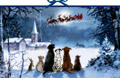 Coppenrath Wandkalender-Wandkalender - Wunderbare Hunde-Weihnacht