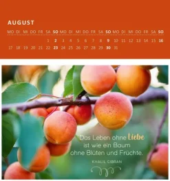 Ars Edition GmbH Wandkalender-Wandkalender Gartenglück 2026