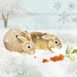 Coppenrath Wandkalender*Wandkalender Wintermorgen mit Rotkehlchen