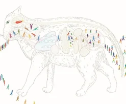 Wann wird es endlich wieder so, wie es nie war*Kiepenheuer & Witsch GmbH Online