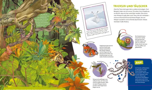 Tessloff Verlag 3-6 Jahre*WAS IST WAS Kids Supertiere. Rekordhalter an Land, in der Luft und im Wasser