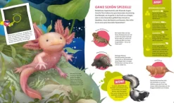 Tessloff Verlag 3-6 Jahre*WAS IST WAS Kids Supertiere. Rekordhalter an Land, in der Luft und im Wasser