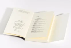 Pantheon Politik-Was will die AfD?