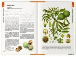 Was wir essen*Favoritenpresse Hot