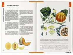 Was wir essen*Favoritenpresse Hot